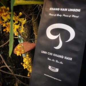 LINH CHI KHANG NAM