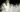 Researchers harnessed the electrical signals made by the rootlike structures, or mycelium, of the king oyster mushroom (Pleurotus eryngii) and its sensitivity to light to control two robots.