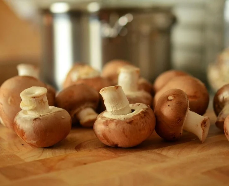 Nấm có thể làm giảm mức độ hóa chất vĩnh cửu gây ung thư trong cơ thể người.